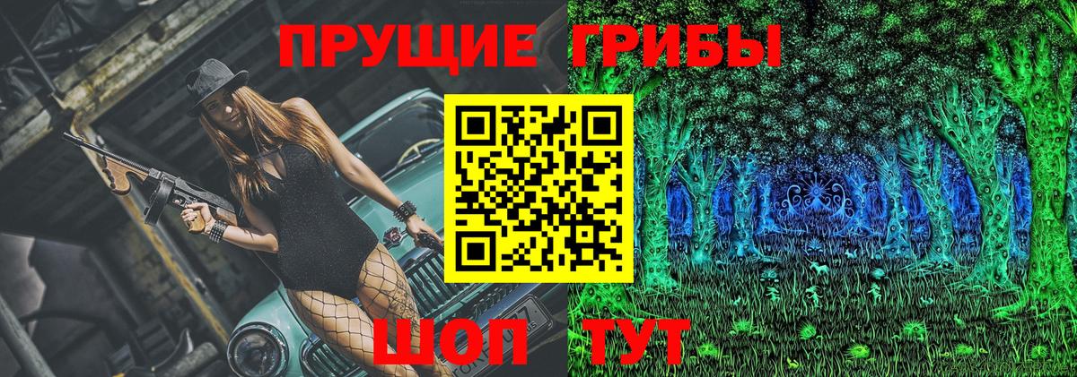 Псилоцибиновые грибы GOLDEN TEACHER Дзержинск